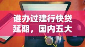 谁办过建行快贷延期，国内五大2025最新风控评分不足能下款的平台