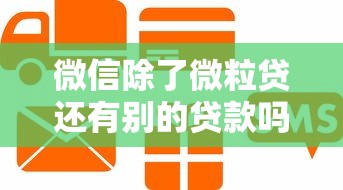 微信除了微粒贷还有别的贷款吗：微信上还有哪些信用贷款可选
