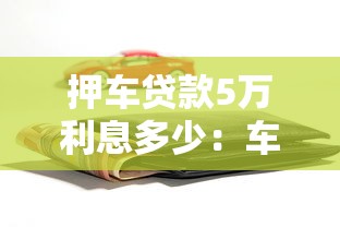 押车贷款5万利息多少：车辆抵押5万元月息大概多少