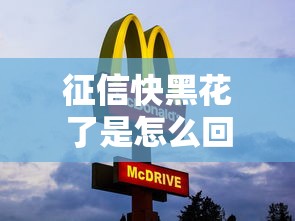 征信快黑花了是怎么回事儿，分析五个2025最新贷款融资平台