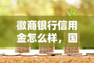 徽商银行信用金怎么样，国内五大2025最新借钱平台利息最低