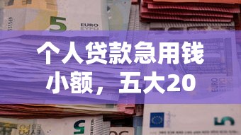 个人贷款急用钱小额，五大2025最新企业贷款平台