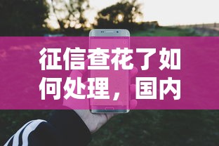 征信查花了如何处理，国内五大2025最新花户能下款的口子