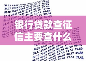 银行贷款查征信主要查什么：银行征信审核重点关注哪些信息