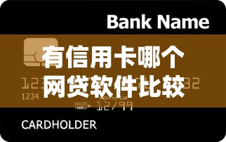 有信用卡哪个网贷软件比较好批，整合5个2025最新16岁贷款借钱的平台