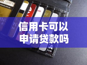 信用卡可以申请贷款吗：信用卡能用于贷款申请吗