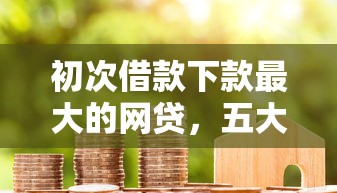 初次借款下款最大的网贷，五大2025最新网贷代理平台