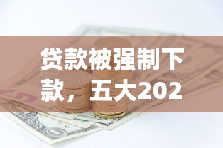 贷款被强制下款，五大2025最新投资p2p网贷平台