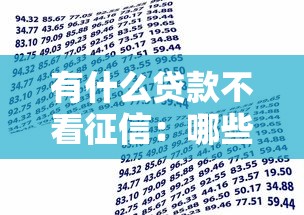 有什么贷款不看征信：哪些借贷方式不查个人信用记录