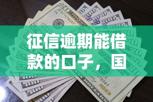 征信逾期能借款的口子，国内五大2025最新薪朋友一样的预支口子