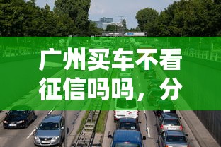 广州买车不看征信吗吗，分析五个2025最新征信花了网贷平台哪些好下款