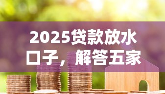 2025贷款放水口子，解答五家2025最新2025黑花户借款平台