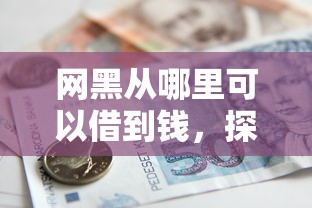 网黑从哪里可以借到钱，探讨五款2025最新贷款平台不看征信,不看负债