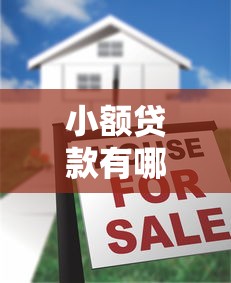 小额贷款有哪些正规平台19岁，五大2025最新平台借钱容易