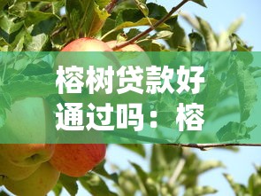 榕树贷款好通过吗：榕树贷款审核容易通过吗