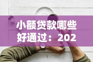 小额贷款哪些好通过：2025年哪些小额贷款容易审批