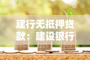 建行无抵押贷款：建设银行信用贷款如何申请