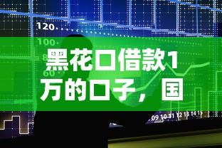 黑花口借款1万的口子，国内五大2025最新借款平台贷款不看征信