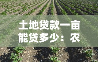 土地贷款一亩能贷多少：农村一亩地可贷金额是多少