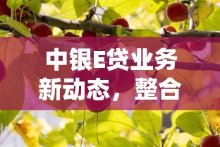 中银E贷业务新动态，整合5个2025最新好通过的网贷平台