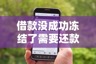 借款没成功冻结了需要还款吗，例举5个2025最新65岁稳放款口子正规网贷