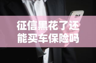 征信黑花了还能买车保险吗，五大2025最新花户必下的平台100%通过率