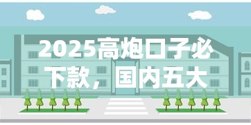 2025高炮口子必下款，国内五大2025最新校园贷款平台