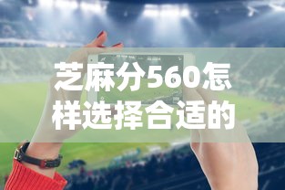 芝麻分560怎样选择合适的贷款用途，国内五大2025最新分36期的正规贷款平台