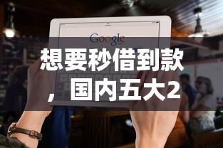 想要秒借到款，国内五大2025最新有借款平台不需要征信就能借钱的