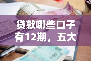 贷款哪些口子有12期，五大2025最新贷款平台额度高利息低
