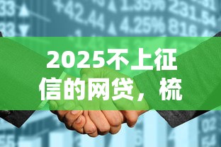 2025不上征信的网贷，梳理5个2025最新征信花了还可以借钱的平台