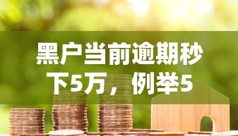 黑户当前逾期秒下5万，例举5个2025最新加盟贷款平台做代理