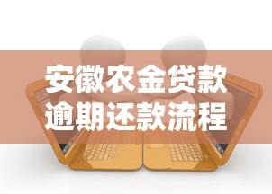 安徽农金贷款逾期还款流程解析最新，梳理5个2025最新公司贷款平台