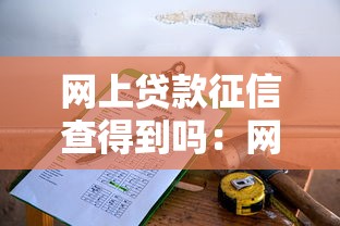 网上贷款征信查得到吗：网贷征信记录可查询吗