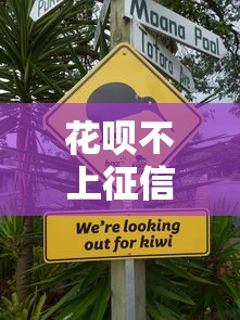 花呗不上征信了怎么回事，介绍五个2025最新平台借钱安全
