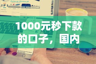 1000元秒下款的口子，国内五大2025最新网上正规贷款平台