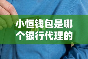 小恒钱包是哪个银行代理的，整合5个2025最新和全民钱包一样好下款的软件