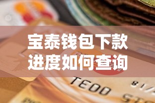 宝泰钱包下款进度如何查询，分析五个2025最新怎么投诉贷款平台
