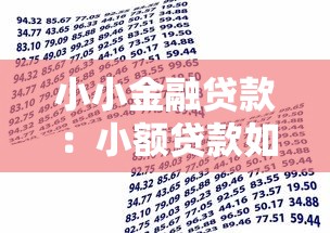 小小金融贷款：小额贷款如何申请更便捷