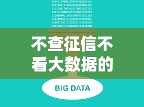 不查征信不看大数据的平台，解答五家2025最新内蒙古人好下款的平台