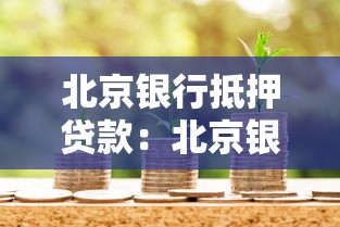 北京银行抵押贷款：北京银行房产抵押贷款条件有哪些
