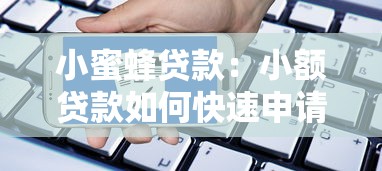 小蜜蜂贷款：小额贷款如何快速申请