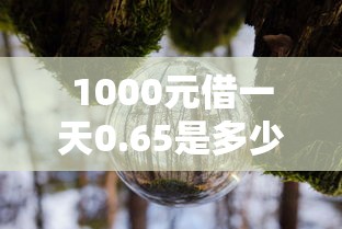 1000元借一天0.65是多少钱2025年圈内最新动态！带您列出夏安现金以及尔鹊逸借等五个贷款平台