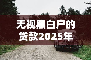 无视黑白户的贷款2025年论述！权威更新这五个名下有车就能做的网贷