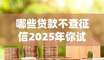 哪些贷款不查征信2025年你试过了没！挑选包括拍拍贷以及宝富周转在内的这5个贷款口子