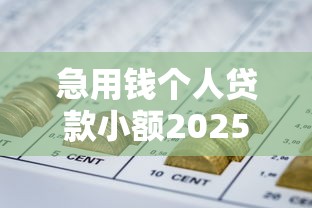 急用钱个人贷款小额2025年应急良品！本篇收集这五个网贷借钱个人小额急需用
