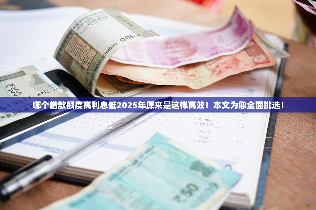 哪个借款额度高利息低2025年原来是这样高效！本文为您全面挑选！