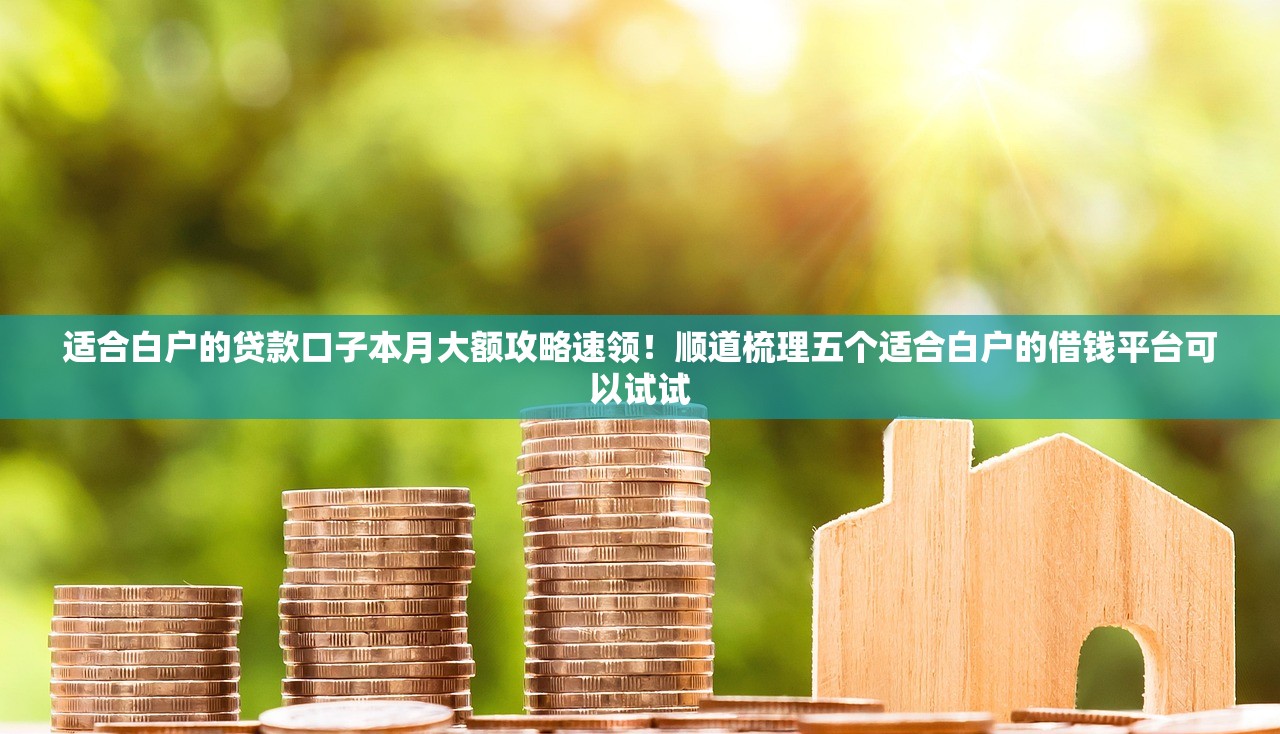 适合白户的贷款口子本月大额攻略速领！顺道梳理五个适合白户的借钱平台可以试试