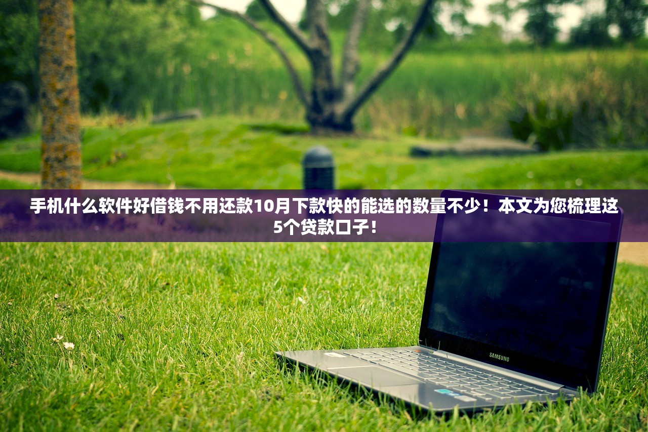 手机什么软件好借钱不用还款10月下款快的能选的数量不少！本文为您梳理这5个贷款口子！