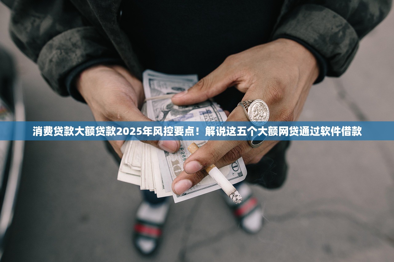 消费贷款大额贷款2025年风控要点！解说这五个大额网贷通过软件借款